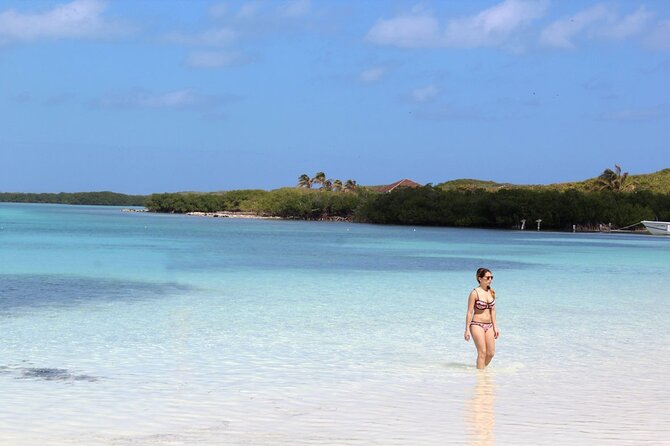 Sailing at Isla Contoy & Isla Mujeres! Snorkel at Ixlache Reef - Stop 1, Isla Contoy: protected island, guided time, and lunch