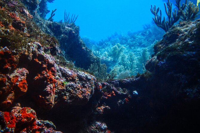 Scuba Diver Certification Course - The National Marine Park segment: boat ride and a two-tank outing