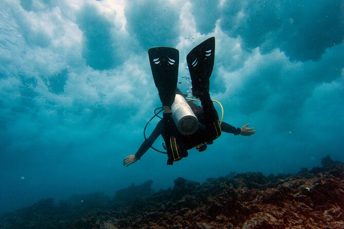 Scuba Diving (1st time) in Cancun Beginner's WELCOMED! - From Aquafun Marina to the start gate in Cancun