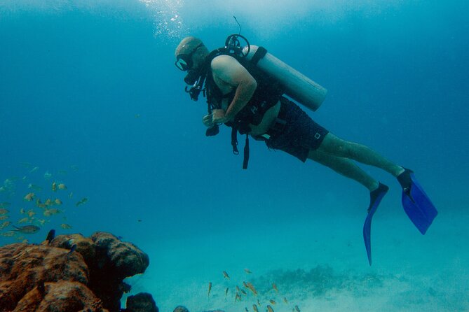 Scuba Diving (1st time) in Cancun Beginner's WELCOMED! - Two underwater sessions at MUSA and the MesoAmerican Reef