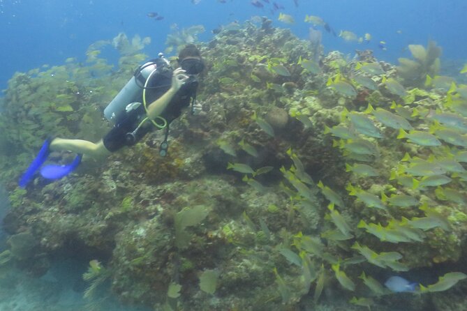 Scuba Diving (1st time) in Cancun Beginner's WELCOMED! - Comfort tips for nervous first-timers, including possible sea sickness