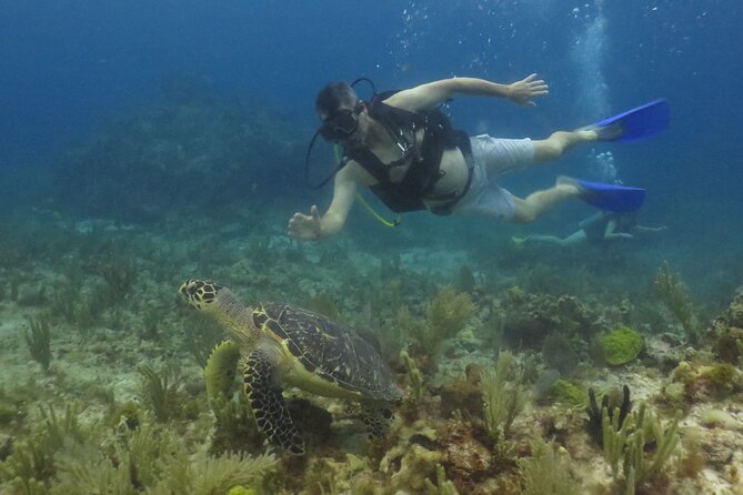 Scuba Diving (1st time) in Cancun Beginner's WELCOMED! - Who should book this first-time Cancun scuba experience