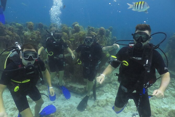 Scuba Diving (1st time) in Cancun Beginner's WELCOMED! - Should you book it, or shop around?