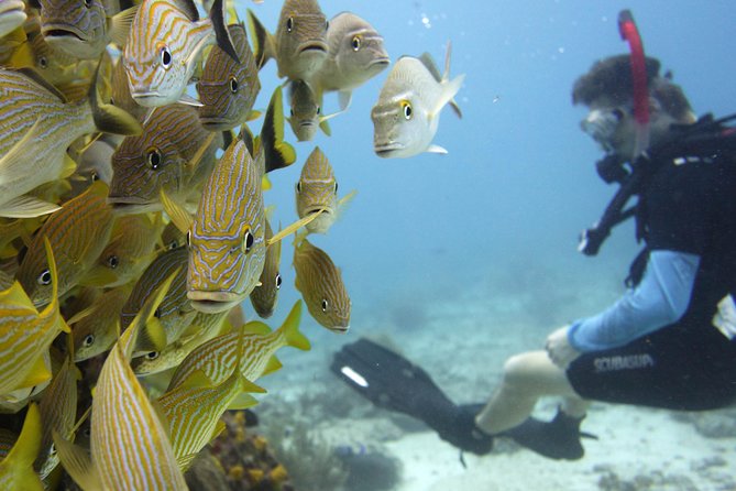 Scuba diving at MUSA the underwater museum for certified divers - The boat setup, snacks, and what the small group changes