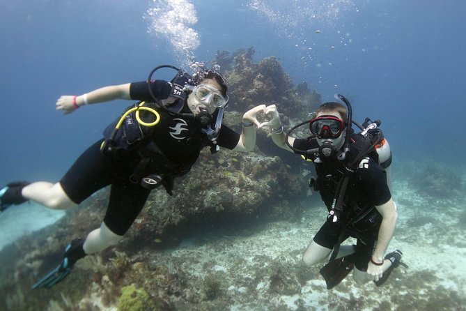 Scuba diving at MUSA the underwater museum for certified divers - Equipment included, plus the stuff you should bring anyway