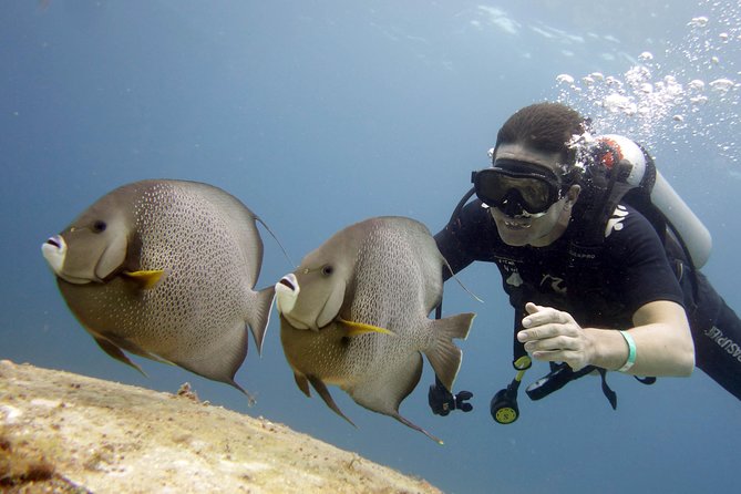 Scuba diving at MUSA the underwater museum for certified divers - Getting the most out of your guide, from Pepe to Danni