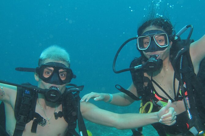Scuba Diving Under Water Museum and Reef for beginners - Manchones Reef: a first-reef swim with real marine life