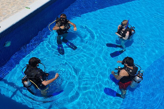 Scuba Diving Under Water Museum and Reef for beginners - How the boat day runs: pace, safety, and instructor support