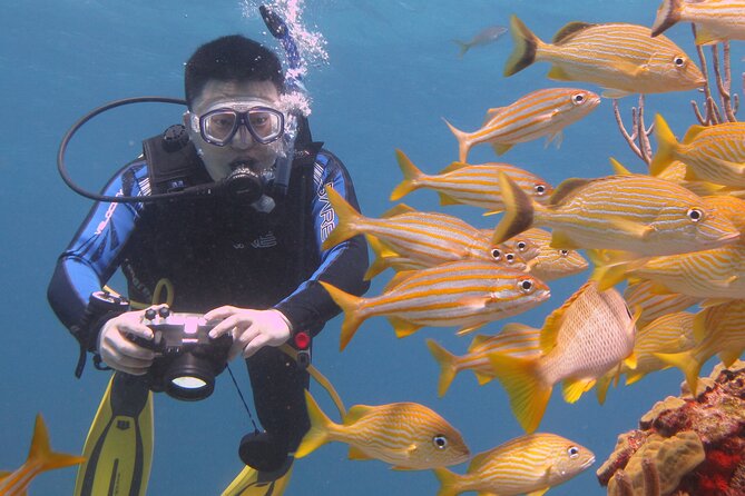 Scuba Diving Under Water Museum and Reef for beginners - Price and value: what $119 covers, and what to budget for