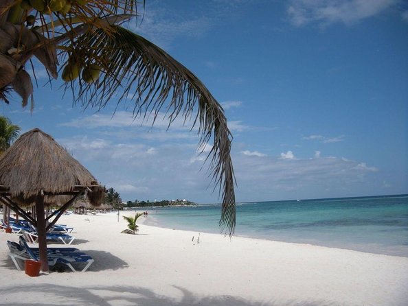 Sea Turtle Snorkeling Ecofriendly Tour from Cancun & Riviera Maya - Key Things You’ll Notice Right Away