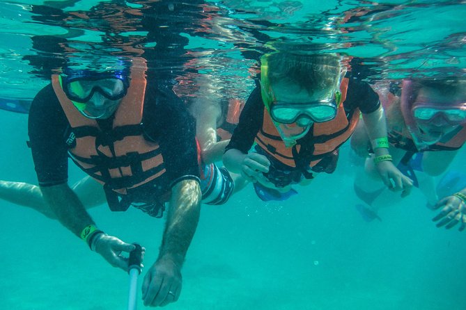 Sea Turtle Snorkeling Ecofriendly Tour from Cancun & Riviera Maya - Price and Logistics: Is $149 Worth It?