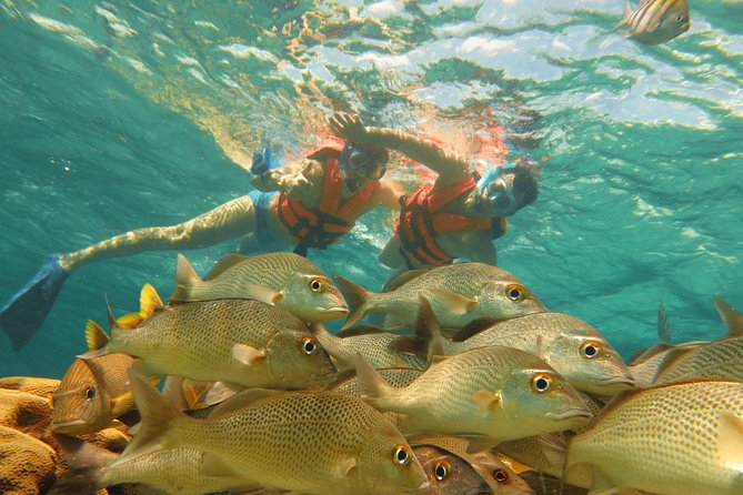 Sea Turtle Snorkeling Ecofriendly Tour from Cancun & Riviera Maya - Stop 1 and 2: Akumal Beach Snorkeling With Life Vest Guidance