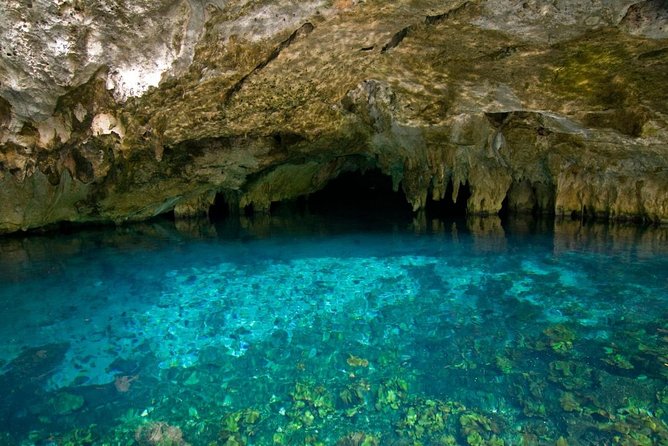 Secret River - Key things I’d prioritize before you book