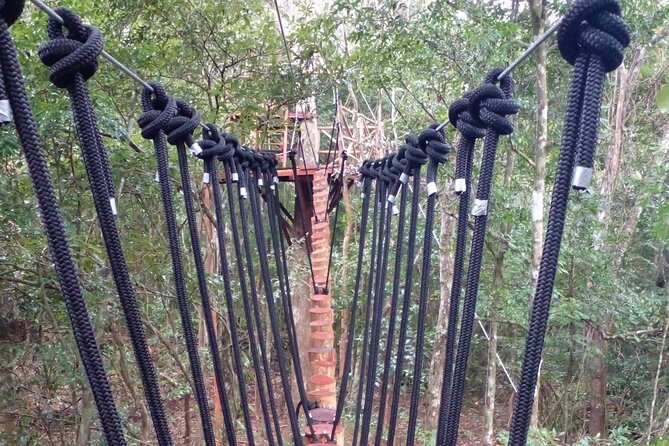 Shared ATV's and Zip Lines and Swimming in a Real Cenote. - Who this tour fits best (and who should reconsider)