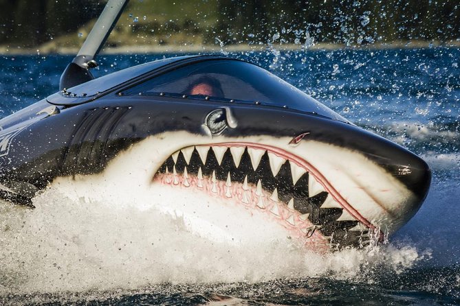 Shark Ride in Cancun - Seabreacher - The 15 minutes: what your body feels during the shark-style ride