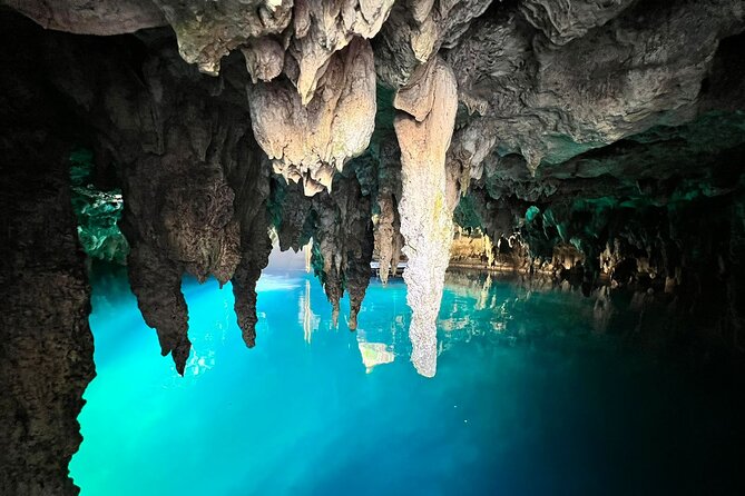 Single ATV, Horseback Riding, Ziplines and Cenote Swim - Price and value: what you get for $99.99, and what can add up