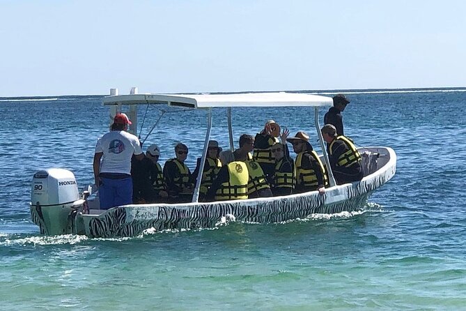 Small-Group Mesoamerican Barrier Reef Snorkeling in Puerto Morelos - Who You See in the Water: Rays, Turtles, Sharks, and Lots of Fish