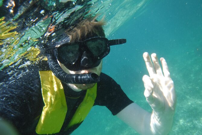 Small-Group Mesoamerican Barrier Reef Snorkeling in Puerto Morelos - Safety and Comfort for Kids, Nervous Swimmers, and First-Timers