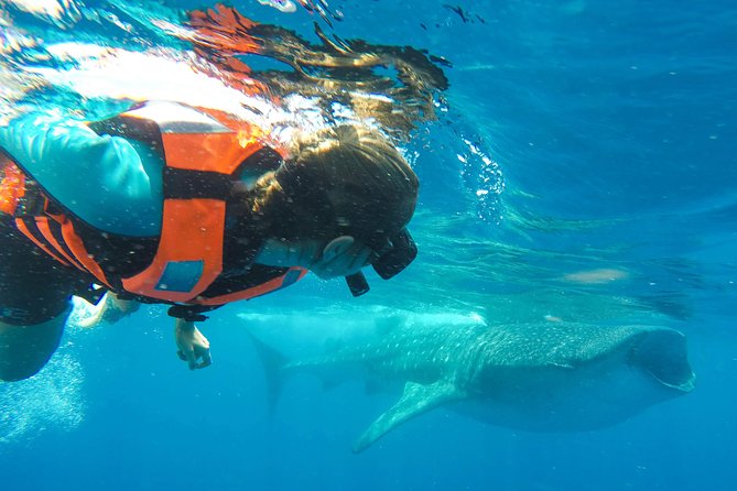 Small Group Whale Shark Encounter - 10 years in business - Playa Norte Snorkeling: What the Water Time Feels Like