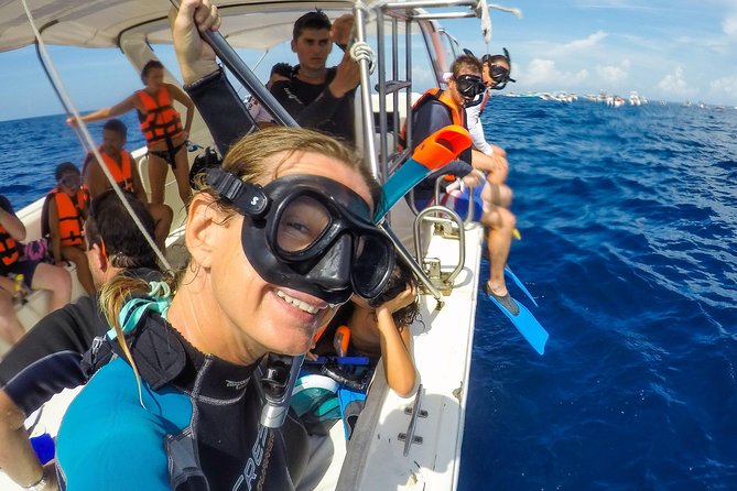 Small Group Whale Shark Encounter - 10 years in business - Snorkeling Gear and the Included Photos and Videos You Will Actually Want