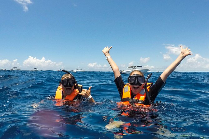 Small Group Whale Shark Encounter - 10 years in business - Weather Rules: Why Your Booking Date Needs a Little Flexibility
