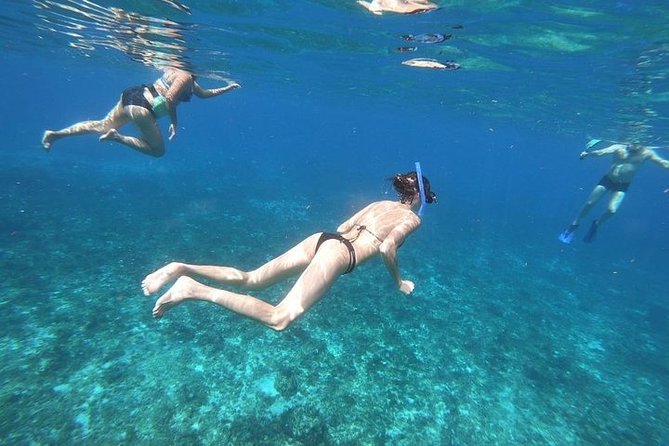 Snorkel Adventure at Cozumel! Transportation from Cancun & Playa Del Carmen - Snorkeling Stop 1: Palancar Reef (coral, fish, and structure)