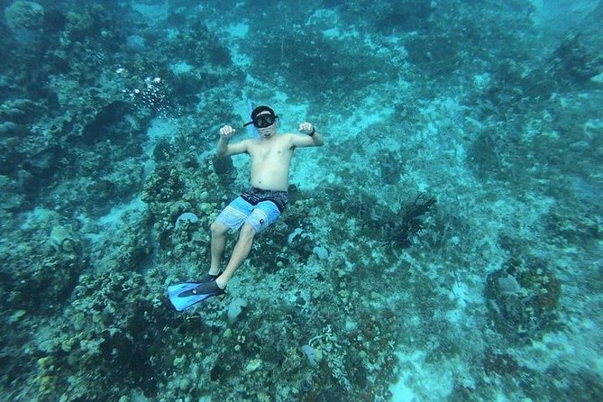 Snorkel Adventure at Cozumel! Transportation from Cancun & Playa Del Carmen - Stop 2: Colombia Reef (more reef detail, same theme)