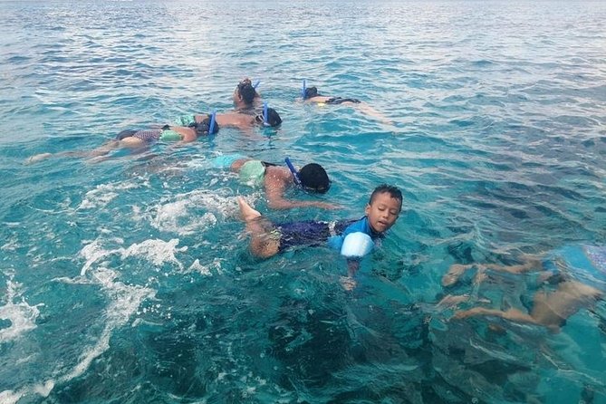 Snorkel Adventure at Cozumel! Transportation from Cancun & Playa Del Carmen - Getting there: an early start and a full 12-hour day