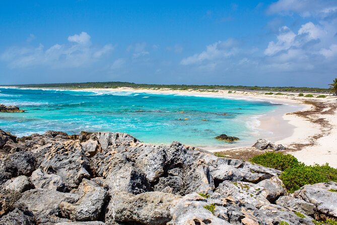 Snorkel and swim in Cozumel el Cielo Reef, Palancar and Colombia - Stop 3: Palancar reef, where corals and fish get serious