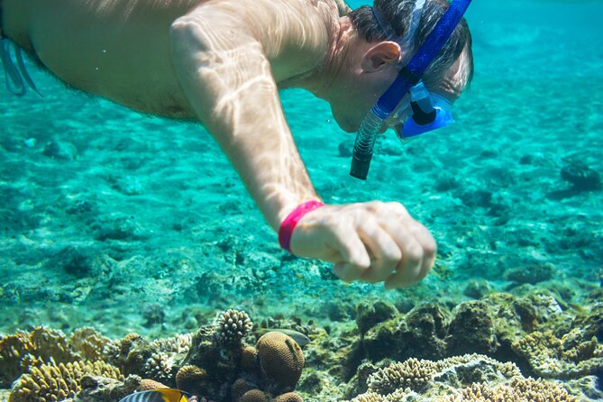 Snorkel and swim in Cozumel el Cielo Reef, Palancar and Colombia - El Cielito Beach: the breather that makes the day feel worth it