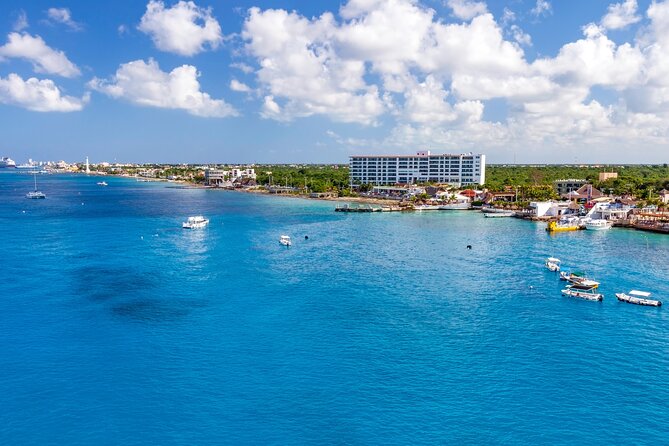 Snorkel and swim in Cozumel el Cielo Reef, Palancar and Colombia - Lunch in Cozumel, then free time to walk and shop