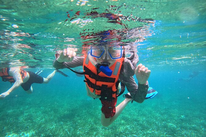 Snorkel at the Reef 2 HOURS Puerto Morelos National park - Key highlights worth knowing