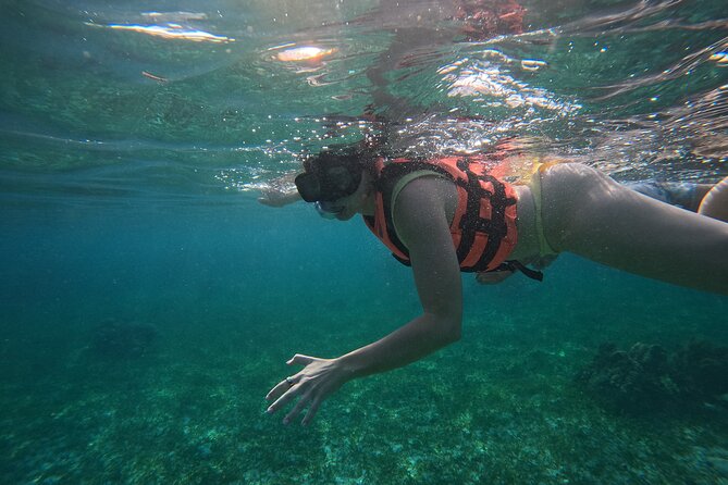 Snorkel at the Reef 2 HOURS Puerto Morelos National park - Price and what you actually get for $43.01