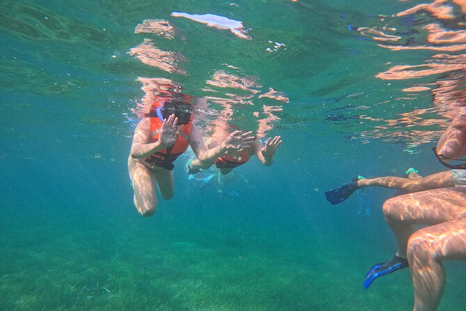 Snorkel at the Reef 2 HOURS Puerto Morelos National park - Should you book this snorkeling tour?