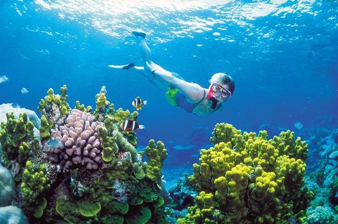 Snorkel, ATV, Zipline and Cenote Adventure from Cancun - ATV Time in the Yucatan Jungle: Shared Ride, Real Bumps