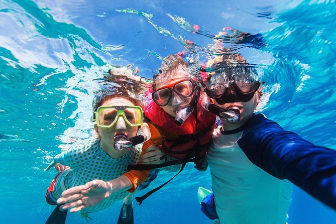 Snorkel in El Cielo Cozumel Reef with Lunch, Beach and Transport - Should you book the El Cielo Cozumel reef snorkeling with lunch tour?