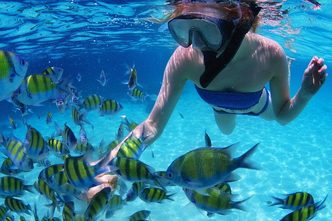 Snorkel in the second largest reef in the world Colorful tour in Puerto Morelos - Guides, Crew, and the Small Touches That Make It Feel Human