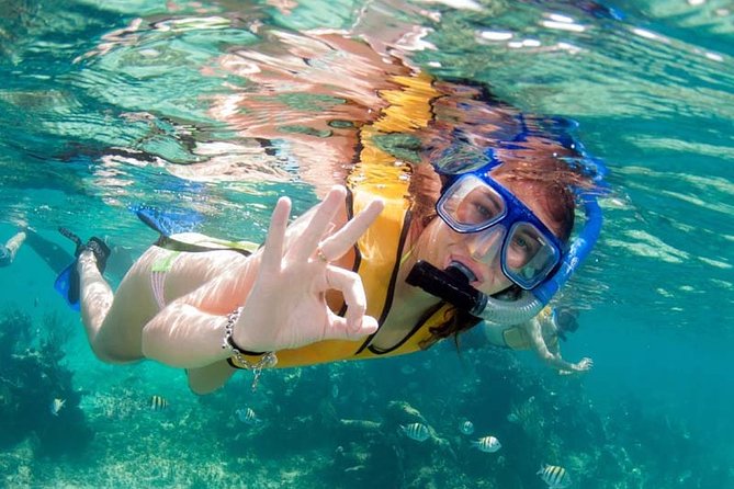 Snorkel in the turquoise Caribbean Sea in Puerto Morelos. Transport included - Puerto Morelos meets the reef wall at Arrecifes National Park
