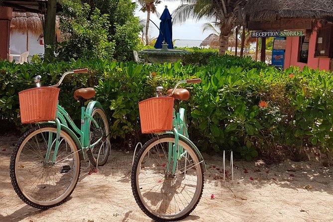Snorkel in the turquoise Caribbean Sea in Puerto Morelos. Transport included - Price and value at about $44.25 per person