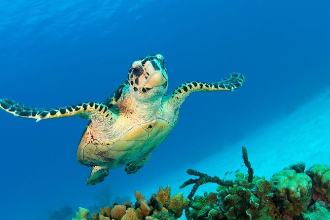 Snorkeling adventure at Puerto Morelos Reef National Park - The boat ride reality check: choppy water can change the day