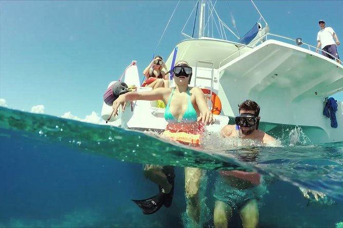 Snorkeling Adventure in Isla Mujeres - Stop 1: Snorkeling at Cancun’s Underwater Museum (What You’ll See)