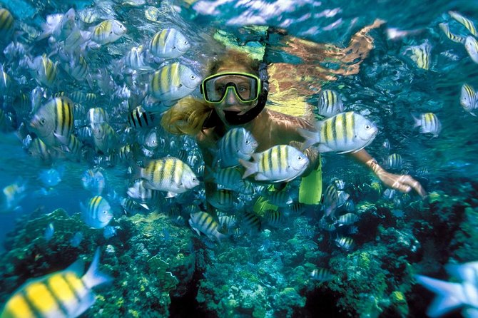 Snorkeling Adventure in Isla Mujeres - Snorkeling Gear and Safety You Actually Need