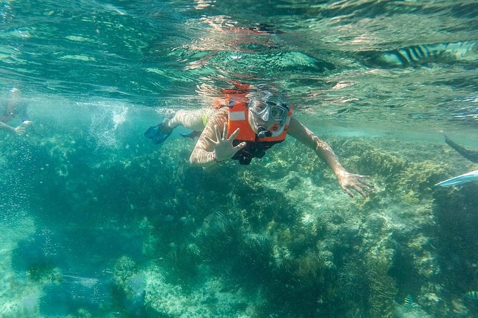 Snorkeling Adventure in Isla Mujeres - Catamaran Sailing to Isla Mujeres: Classic vs Luxury Group Sizes