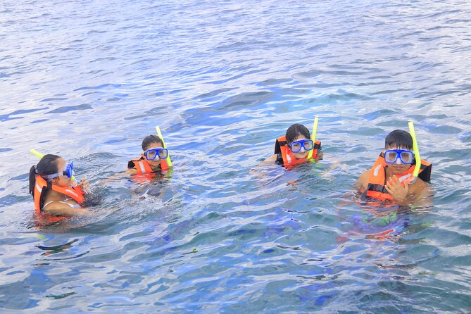 Snorkeling Adventure in Puerto Morelos Includes snack, Water and Round Trip. - Tequila tasting and Mayan history themes: fun lesson or sales pressure