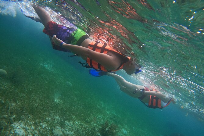 Snorkeling Adventure in Puerto Morelos Includes snack, Water and Round Trip. - What snorkel time really looks like, and how to get the best views