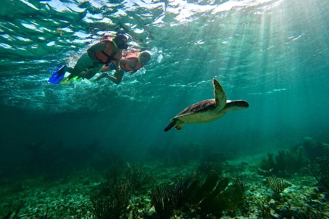 Snorkeling Guided Activity in Puerto Morelos Mexico - Two Snorkel Windows on the Reef: What the Time Actually Feels Like