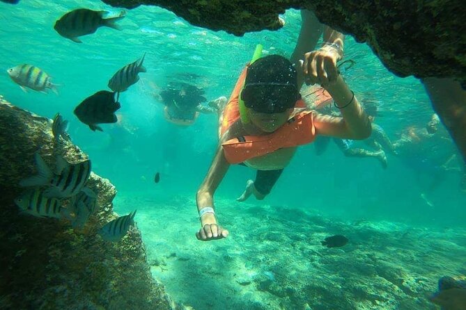 Snorkeling in Isla Mujeres and Underwater Museum - A tight 4-hour plan that covers three of Isla Mujeres greatest hits