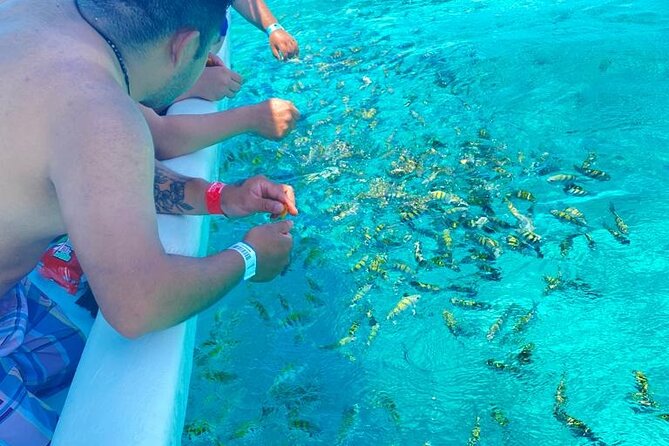 Snorkeling in Isla Mujeres and Underwater Museum - Group size and guide style: why the pace can feel great or rushed