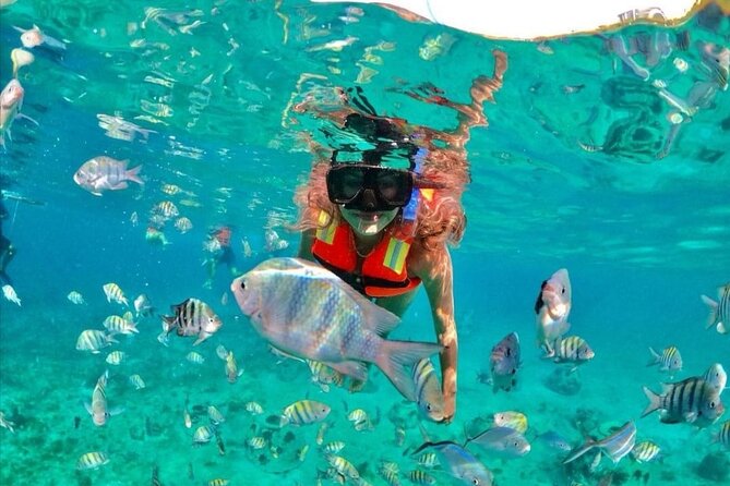 Snorkeling tour Express in Cancun with Certified Guide - Gear Included: You Don’t Need to Pack a Single Thing