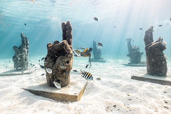 Snorkeling Tour with Turtles and Stingrays Puerto Morelos - Kay Club meeting point, ticket exchange, and the 10-minute habit